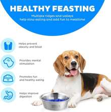 Tazón Lento Divertido Outward Hound de Acero Inoxidable para Perros - Mediano Capacidad de 2 Tazas, Alimentación Lenta, Laberinto Extraíble, Antideslizante, Se Adapta a Plataformas de Alimentación Elevadas - ColorG - Ver 4