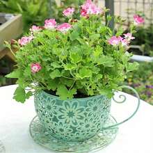 Rustikaler Blumentopf in Form einer Kaffeetasse aus Eisen – Leichter, runder Metallpflanztopf mit dekorativen Griffen, geeignet für drinnen und draußen, Garten, Balkon oder Tisch, für Sukkulenten, Blumen und Pflanzen - Weiß - Übersicht 7