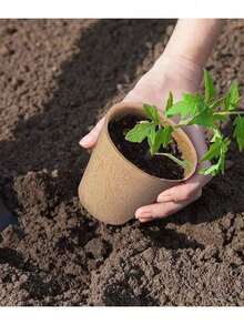 20/40/60pcs Disposable Leaf-Shaped Paper Nutrient Cups, Seedling Planting Pots For Plant Propagation - Multicolor - View 10