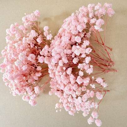25/50/100/300 piezas Flores secas de Gypsophila blanco marfil y otras - Para moldes de resina, arte y manualidades, adecuadas para accesorios para el cabello, coronas de boda, centros de mesa, decoración del hogar