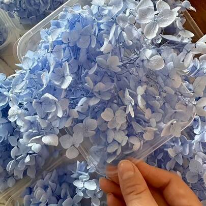 50支/盒 多色绣球干花 DIY 花艺材料，天然人造花，适用于婚礼装饰、圣诞装饰、家居装饰、卧室装饰、芦苇草装饰，DIY 手工花束，适用于派对、客厅装饰