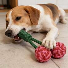 Đồ chơi cho chó hình quả bóng bằng dây cotton, thắt nút, chống cắn và bền, giúp làm sạch răng cho chó Bulldog Pháp và các giống chó nhỏ/trung bình khác. - Nhiều màu - Xem 2