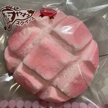 逼真菠萝包捏捏乐玩具 - 菠萝包挤压玩具 - 软萌 - 解压玩具 - 男女皆宜 - 食物造型挤压玩具 - 小礼物 - 超大超柔软 - 厚实熔岩菠萝包 - 面包挤压玩具 - 慢回弹小玩具 - 解压神器 - 彩色 - 查看 7