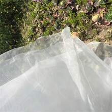 1PC 53.8-269SQ.FT 60 Mesh Net Garden Protection Net Mist Net Bird Net Nylon Plastic Net Greenhouse Vegetable Insect Net - White Insect Netting - View 8