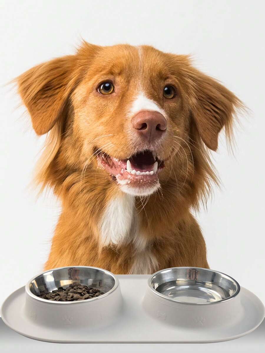 Silicone Pet Bowl, Basic Bowl, Dual-Compartment, Dry & Wet Food Separation - Light Gray Double Bowl (without Stainless Steel Bowl) - View 1