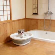 Foldable Pet Bathtub, Small Dog Bathing Tub With Drain, Washbasin, Laundry Basket, Cat & Dog Bathtub - Multicolor - View 2