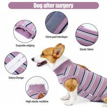 Breathable Dog Surgical Recovery Shirt, Soft Pet For After Surgery, Weaning & Skin Issues - Dusty Purple - View 4
