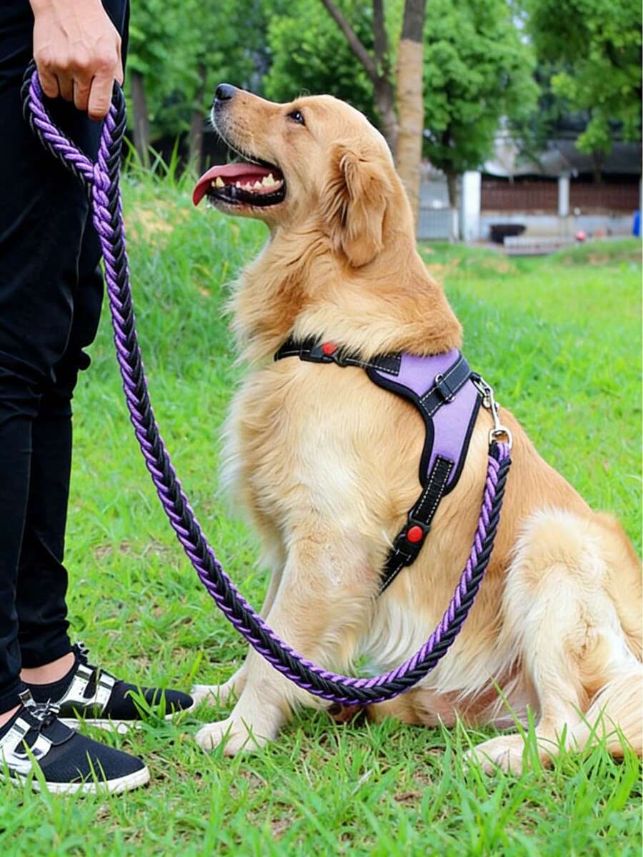 Bộ 1 Dây xích và đai phản quang cho chó/mèo - Áo vest lưới thoáng khí với dây xích nylon có đệm, đai ngực thoáng khí phù hợp cho chó và mèo nhỏ/vừa/lớn; Vòng cổ cho thú cưng - Thiết kế chống nghẹt thở với hai vòng chữ D. - màu đen - Xem 1
