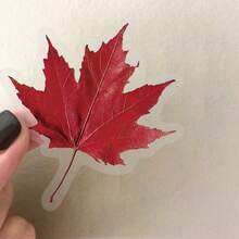 50 Pieces Of Retro Plant Specimens Creative Graffiti PET Stickers DIY Hand Book Mobile Phone Case Computer Waterproof Gift - Multicolor - View 3