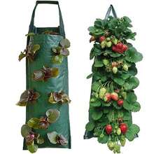 2pcs Outdoor Hanging Strawberry Planter, 8 Holes Strawberry Grow Bags, Tomato Hanging Planter, Garden - Multicolor - View 3