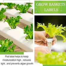 1 Set 12/60 Hydroponic Baskets Kit 6/30 Pcs Grow Baskets With 6/30 Pcs Pod Labels Lightweight Economy Plant Baskets For Grow Basket Compatible With Hydroponic Growing System - Hydroponic Kit - View 7