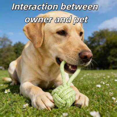 Interactive Knotted Rope Toy For Pets, Designed To Relieve Boredom, Tear And Bite Resistant, Washable Chew Toy, Suitable For All Breeds, No Battery Required, Enhances Bond Between Owner And Pet