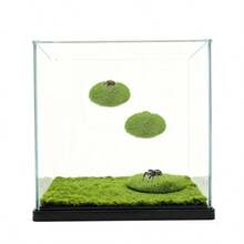Jumping Spider Lawn Play Platform, Jumping Spider Shell Green Artificial Moss Rock, Climbing Feeding Platform, Small Spider Habitat Accessories, Jumping Spider Fence, Perfect Habitat For Climbing Pets. Can Be Used As Decorative Accessories For Spider Climbing, Feeding And Platform, For Climbing, Resting And Exploration - View 4