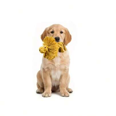 1pc Interactive Dog Chew Toy - Durable Lion Shaped Teething Toy, Cartoon Knotted Design For Dental Care & Boredom Relief, Tug And Fetch Game Ideal, Durable Pet Toy Suitable For All Dog Breeds