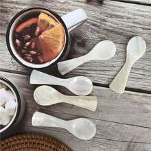 Natural Conch Shell Ice Cream Coffee Spoon Caviar Spoon Seashells Stirring Spoons Teaspoon Kitchen Tool - View 8