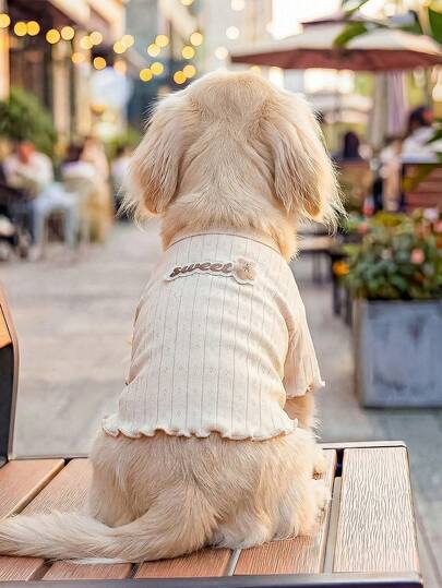 1pc Pet Clothes, Outdoor & Indoor Apparel For Small Dogs & Puppies, European & Korean Style Casual Cute Comfortable Ruffled Hem Sweater - Coffee