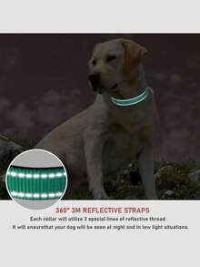 这款狗项圈采用柔软的氯丁橡胶衬垫和透气的尼龙牵引绳制成，反光耐用设计，配有快拆扣，可调节尼龙项圈，适合所有犬种的遛狗和训练。 - 彩色 - 查看 4