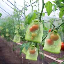 50/100pcs Fruit Protection Bags, Fruit Tree Guard Net Cover, Mesh Fruit Bags For Fruit Protection, Organic Mesh Bags, Green Vegetable Net Bags, Reusable - 100PCS - View 5