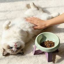 15°倾斜防呕吐增高宠物喂食碗，猫狗通用高脚碗，颈部和脊椎保护设计，防滑宽底座，耐用塑料材质，适用于猫和小型犬，干湿粮皆可盛放，实用宠物礼品 - 100 - 查看 11