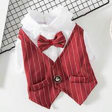 1 Pc Burgundy Suit Dress, Button-Up, With White & Black Detachable Collar, Suitable For Formal Occasions And Everyday Wear - Black - View 5