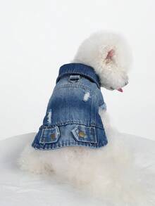 1pc Pet Jacket Coat, Dirt-Resistant Durable Fashionable Small Dog Clothes - Cool Jacket - Blue - Blue - View 2