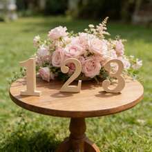 天然木色立式数字 0-9，可用作婚礼桌号牌、生日派对桌饰、新生儿30天拍摄道具，也可作房间号、门牌号、电话号码、DIY涂鸦数字牌，适用于节日桌饰、生日派对、圣诞礼物、生日倒计时等场合，尺寸为3.15英寸。 - 彩色 - 查看 8