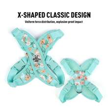 Conjunto de correa para mascotas con estampado floral de primavera, adecuado para perros pequeños, ajustable y cómodo, impresión digital en lienzo transpirable, patrón floral lindo, opciones de multicolor, equipo de exterior de mascotas de moda para evitar fugas - Verde - Ver 6