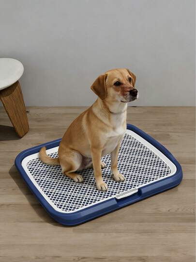 Dog Potty Tray, Indoor Pet Pee Pad Holder,Puppy Training Holder,Bathroom Dog Litter Box, Pet Toilet For Small And Medium Dogs,Housebreaking Supplies, Hollow Anti‑Step Design, Portable & Hygienic Dog Potty
