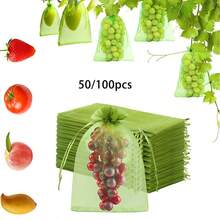 50/100pcs Fruit Protection Bags, Fruit Tree Guard Net Cover, Mesh Fruit Bags For Fruit Protection, Organic Mesh Bags, Green Vegetable Net Bags, Reusable - 100PCS - View 1