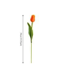 Hoa tulip nhân tạo 1-12 bông, chất liệu PU màu san hô, thích hợp trang trí ngày Valentine và năm mới, đám cưới, nhà cửa, kích thước 14,96 inch. - Nhiều màu - Xem 3
