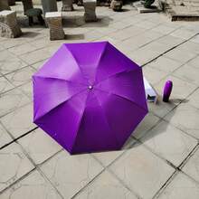 Umbrellas And Rain Hat Umbrellas - 茄子 - 查看 7