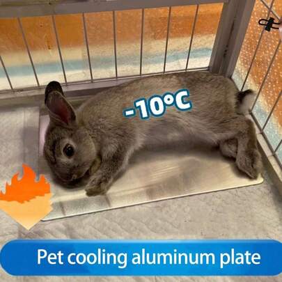 Tấm làm mát bằng nhôm cho thú cưng mùa hè, tấm làm mát cho chuột hamster, làm mát hiệu quả cho thỏ, chó và mèo.