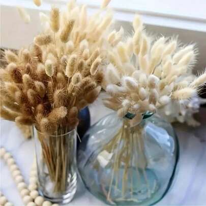 61/121/181/241pcs Natural Dried Flowers Decor, Natural Dried Rabbit Tail Grass, Dried Cattail, For Home Decor, Wedding Decor, Party Decor, DIY Crafts, Photography Props, Theme Decor, 17.7 Inches