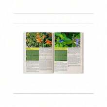 The Lost Book O F Herbal Remedies Paperback Colored Inner Pages For Friends Family 2 - 預設 - 查看 4