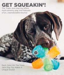 Outward Hound Triple Jack Interactive Multi-Squeak Dog Toy - ColorC - 查看 5