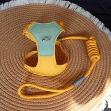 可调节透气牵引胸背带，适用于小型/中型犬，防污染宠物遛狗背心 - 彩色 - 查看 7