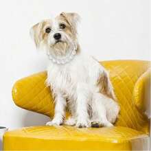 Adjustable Faux Pearl Pet Collar, Luxury Design, Suitable For Cats And Dogs, Fashionable And Durable - Multicolor - View 3