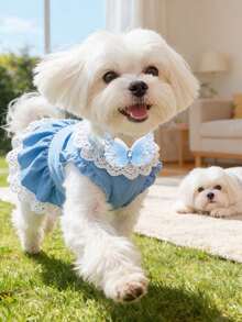 3/10pcs Spring Cute Pet Lace Crystal Wings Pet Tie, Lightweight Mesh+Sparkling Diamond Embellishment, Beautify Strolling/Party/Spring Outing Happy Baby, Adding Points To Mao's Spring Vitality Dressing - Multicolor - View 3