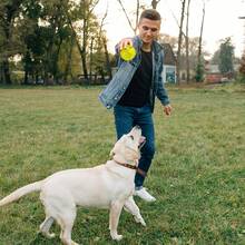 Dog Toys Ball, 3/4/6 Pack Squeaky Dog Toys, Durable Dog Toys For Aggressive Chewers, Spiky Dog Ball For Clean Teeth And Training, Fetch Toys For Dogs, Puppy Chew Toys For Teething - 多 - 查看 9
