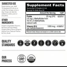 L Methyl Folate 15mg + B12 Cofactor – Organic, Berry Flavor, Professional Strength, Liquid Active 5-MTHF Form, Supports Mood, Methylation, & Cognition Fitness Dietary - 一件 - 查看 5