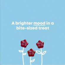 Saffron Gummies Plant-Based Formula For Daily Wellness Mood Munchies With Saffron & Passion Flower For Emotional  Sugar-Free Gluten-Free Made In USA - One - View 2