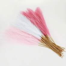 27pcs Artificial Pampas Grass, 21.6 Inch Fake Gerbera Daisy Flowers, Suitable For Home, Wedding, Bohemian, Valentine's Day, St. Patrick's Day, Independence Day, Halloween, Autumn, Christmas Party Decor, Light Pink & White - Blush Pink White - View 3