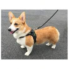 Dây đeo ngực cho chó kiểu áo vest, làm bằng nylon, thoáng khí, có thể điều chỉnh và tháo nhanh. - Màu tím hoa cà - Xem 6