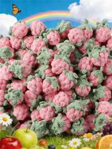 3/5/10/20/30 件手工钩针红色草莓饰品 | 红色和绿色针织羊毛吊坠，适用于钥匙扣、手机配件和 DIY 工艺品 - 完美的生日礼物装饰、包袋饰物、俏皮设计、织物纹理、钩针配饰，非常适合感恩节 - 紅色 - 查看 3