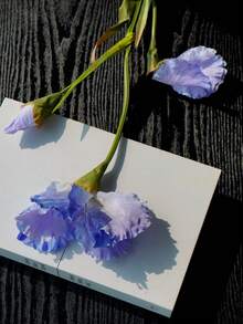 1 buc., floare artificială de iris de 80 cm, floare de mătase, decor floral, umplutură pentru vază, piesă centrală pentru masă, decorațiune de nuntă, decor de birou, decorațiune pentru casă, decor pentru cameră, decor de perete, decorațiune de grădină, decor exterior, decorațiune pe tot parcursul anului - Multicolor - Vizualizare 14