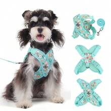 Conjunto de correa para mascotas con estampado floral de primavera, adecuado para perros pequeños, ajustable y cómodo, impresión digital en lienzo transpirable, patrón floral lindo, opciones de multicolor, equipo de exterior de mascotas de moda para evitar fugas - Verde - Ver 2