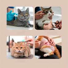 1个翻盖式透明猫咪防护头罩,多通风口设计,猫咪术后恢复头部保护罩,两种尺寸可选,适用于术后护理和美容。 - 查看 8