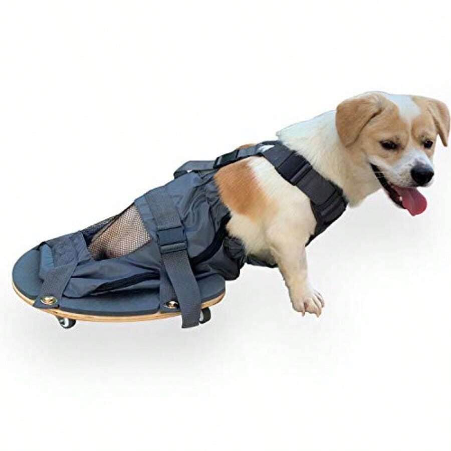 Silla de ruedas para patas traseras de perro paralizado protege el pecho y las extremidades XS - Gris - Ver 1