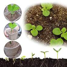 50PCS Pulp Seedling Cups With Drainage Holes Paper Seedling Pots For Home Garden Nursery Vegetable Flower Seed Germination Starting And Transplanting - Multiple Styles - View 4