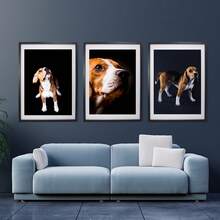 Picture Frames Set Of 3, Wall Mounting, Fits 40x60cm With Mat Or 50x70cm Without Mat - Black - View 3